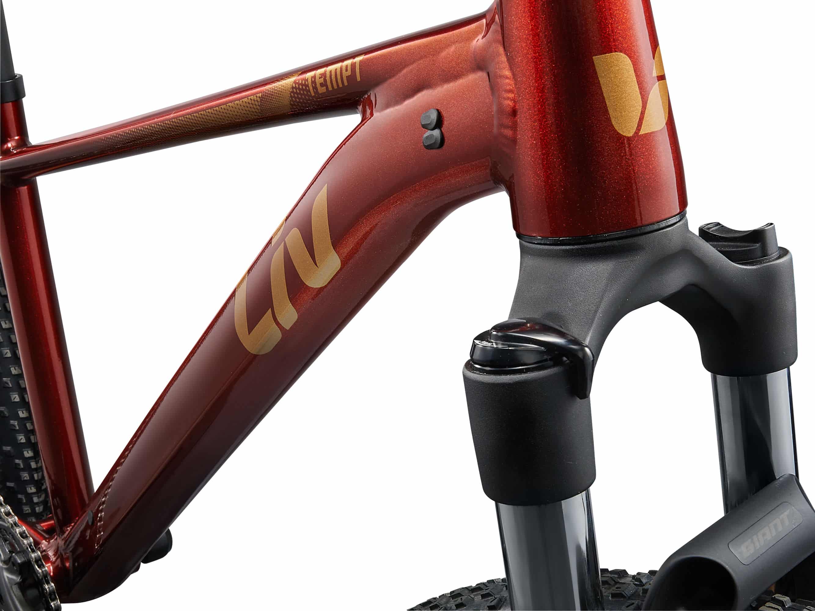 LIV TEMPT 2 29 - Imagen 4